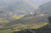 Sapa Trekking 3 Nights 2 Days (Homestay)